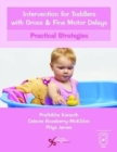 Image for Intervention for Toddlers with Gross and Fine Motor Delays : Practical Strategies