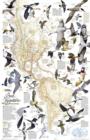 Image for Bird Migration, Western Hemisphere Flat : Wall Maps History &amp; Nature