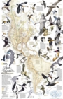 Image for Bird Migration, Western Hemisphere, Laminated