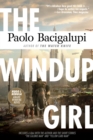 Image for The windup girl