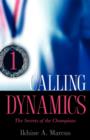 Image for Calling Dynamics
