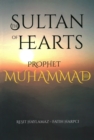 Image for The Sultan of Hearts (single volume)