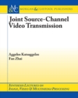 Image for Joint Source-Channel Video Transmission
