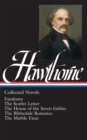 Image for Nathaniel Hawthorne: Collected Novels: Scarlet Letter / House of Seven Gables / Blithedale Romance / Fanshawe / Marble Faun: Library of America #10