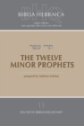 Image for Biblia Hebraica quinta  : the twelve minor prophets