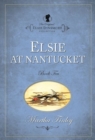 Image for The Original Elsie Dinsmore Collection : v. 10 : Elsie at Nantucket