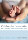 Image for Collaborative Consultation with Parents and Infants in the Perinatal Period