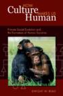 Image for How culture makes us human  : primate social evolution and the formation of human societies