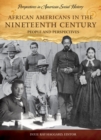 Image for African Americans in the nineteenth century  : people and perspectives