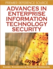 Image for Advances in enterprise information technology security