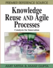 Image for Knowledge Reuse and Agile Processes : Catalysts for Innovation