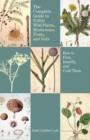 Image for Complete Guide to Edible Wild Plants, Mushrooms, Fruits, and Nuts