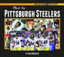 Image for Meet the Pittsburgh Steelers