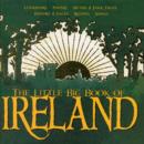 Image for The little big book of Ireland