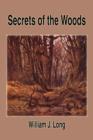 Image for Secrets of the Woods