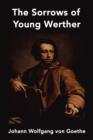 Image for The Sorrows of Young Werther