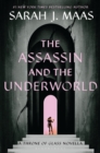 Image for Assassin and the Underworld.
