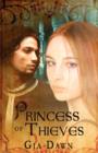 Image for Princess of Thieves