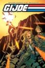 Image for G. I. Joe, Vol. 4