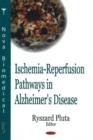 Image for Ischemia-Reperfusion Pathways in Alzheimer&#39;s Disease