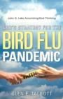 Image for God&#39;s Strategy for the Bird Flu Pandemic