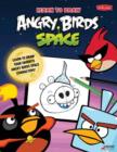 Image for Learn to Draw Angry Birds Space : Learn to Draw All Your Favorite Angry Birds and Those Bad Piggies-in Space!