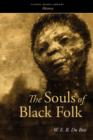 Image for The Souls of Black Folk