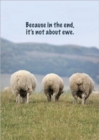 Image for Because in the End, it&#39;s Not About Ewe