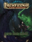Image for Pathfinder Player Companion: Haunted Heroes Handbook