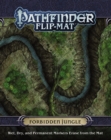 Image for Pathfinder Flip-Mat: Forbidden Jungle