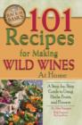 Image for 101 Recipes for Making Wild Wines at Home