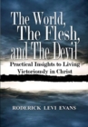 Image for The World, The Flesh, and The Devil : Practical Insights to Living Victoriously in Christ