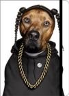 Image for Rap, Small Pets Rock Journal