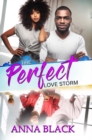 Image for The perfect love storm