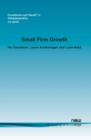 Image for Small Firm Growth