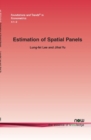 Image for Estimation of Spatial Panels
