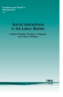 Image for Social Interactions in the Labor Market