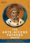 Image for The Ante-Nicene Fathers : The Writings of the Fathers Down to A.D. 325, Volume VI Fathers of the Third Century - Gregory Thaumaturgus; Dinysius