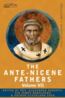 Image for The Ante-Nicene Fathers : The Writings of the Fathers Down to A.D. 325, Volume VII Fathers of the Third and Fourth Century - Lactantius, Venanti