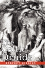 Image for The Celtic Druids