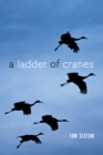 Image for A ladder of cranes