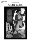 Image for Treasure Island Graphic Novel Study Guide
