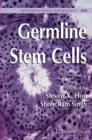 Image for Germline stem cells