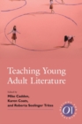 Image for Teaching young adult literature