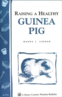 Image for Raising a Healthy Guinea Pig: Storey&#39;s Country Wisdom Bulletin A-173