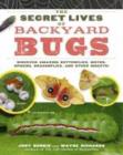 Image for The secret lives of backyard bugs: discover amazing butterflies, moths, spiders, dragonflies, and other insects!