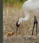 Image for Whooping Crane : Images from the Wild