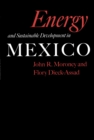 Image for Energy and Sustainable Development in Mexico : 16