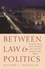 Image for Between law &amp; politics: the Solicitor General and the structuring of race, gender, and reproductive rights litigation