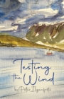Image for Testing the Wind